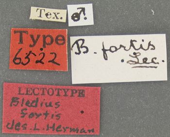 Media type: image;   Entomology 6522 Aspect: labels